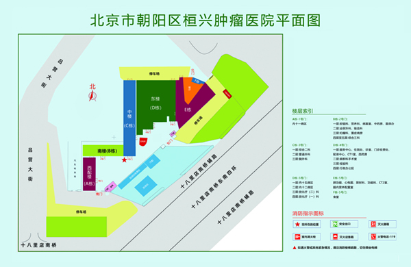 逼操色骚在线北京市朝阳区桓兴肿瘤医院平面图